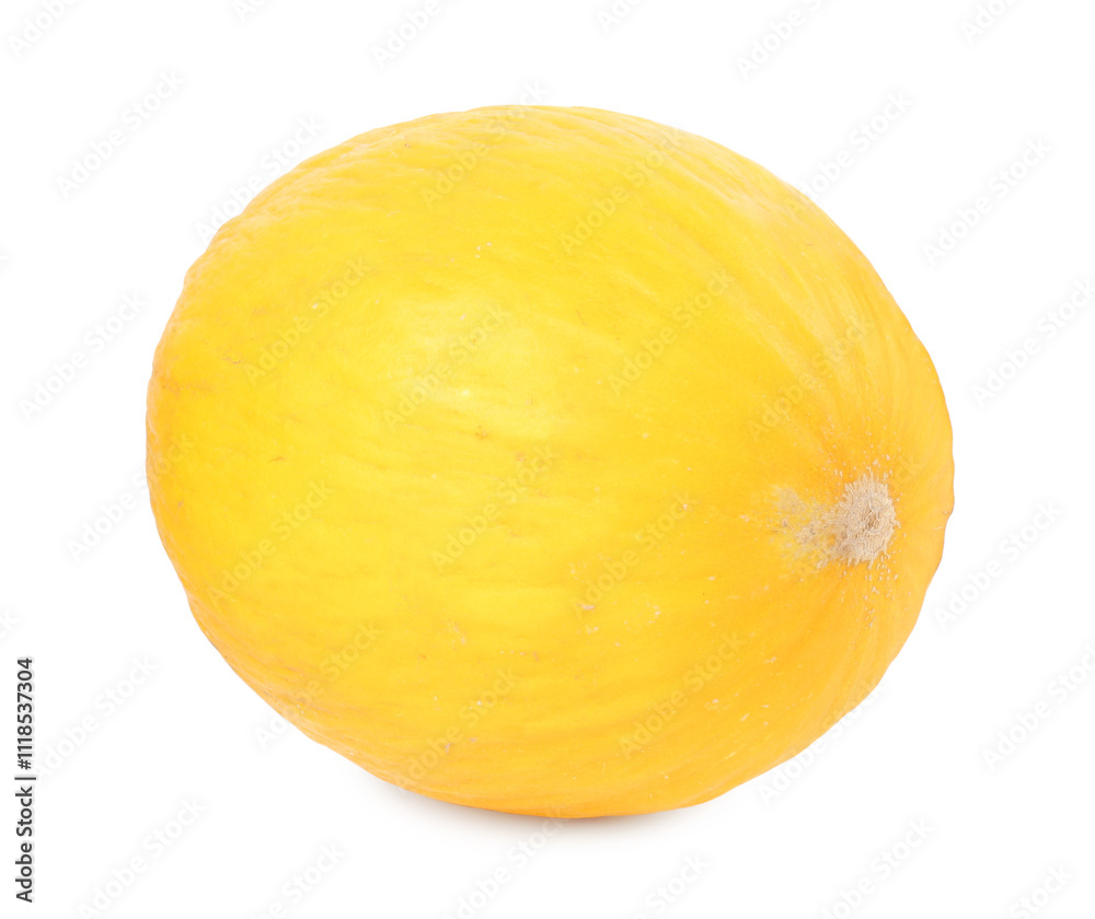 One whole ripe melon isolated on white One whole ripe melon isolated on white