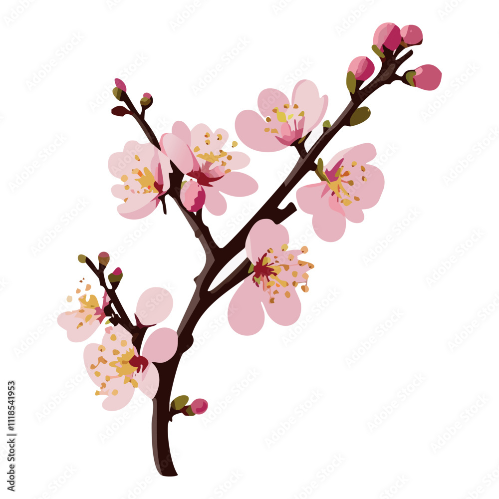 Blooming Sakura Branch with Pink Flowers and Buds – Spring Floral Art Vector Blooming Sakura Branch with Pink Flowers and Buds – Spring Floral Art Vector