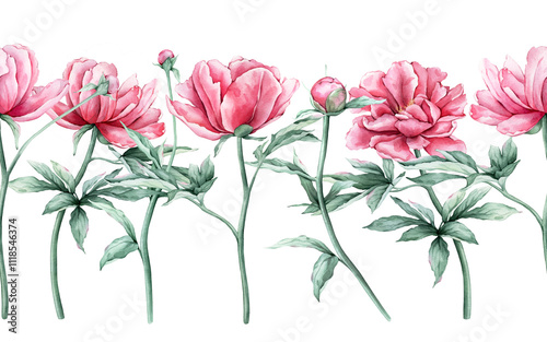 Watercolor seamless banner with pink peony flowers branches in full bloom. Hand drawn illustration frame beautiful floral flowers daisy. Seamless pattern with summer botanical plant. For invitations