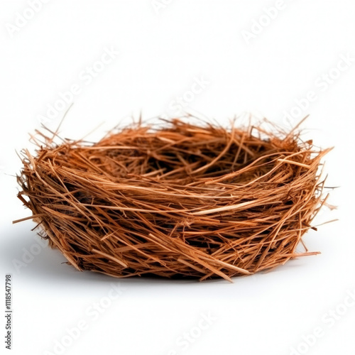 Bird Nest Isolated