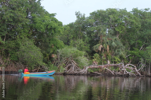 A man sailing a small boat in the mangroves of Centla in Tabasco, Mexico.