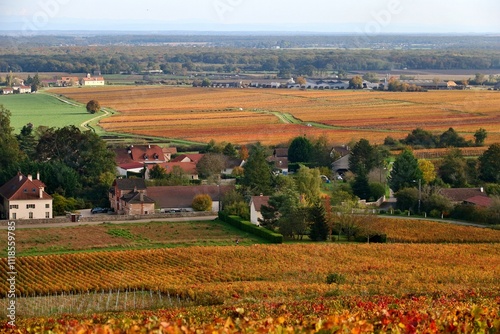 Automne dans la Côte Chalonnaise.