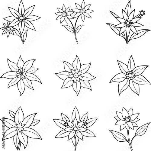 Edelweiss flower isolated thin line icon. Edelweiss flower Vector symbol of alpinism, Switzerland alps. national decoration