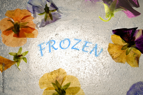 Frozen edible flowers in ice photo