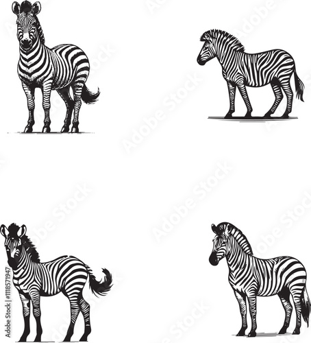 Hand-Drawn Zebra Illustrations Set