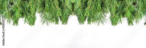 White xmas holiday background; Frame of pine tree branches on white background; copy space, flat lay