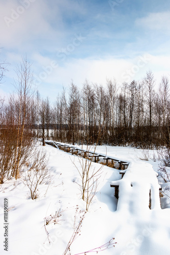 Winter Landscape with lake in snow, trees and dry grass