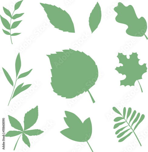 Set of leaves elements. Collection botanical vector isolated on white background