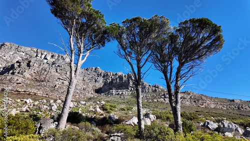Table Mountain At Cape Town In Western Cape South Africa. National Park Scene. Giant Rocks. Cape Town At Western Cape South Africa. Tourism Travel. Transportation Skyline.