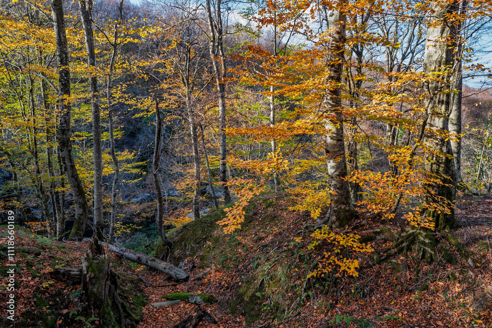 Fototapeta premium Suuctu waterfalls in Mustafakemalpasa, Bursa