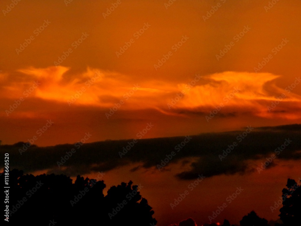 Red, dark and orange sky with stormy clouds Cumulonimbus incus, Anvil cloud over black trees during sunset - abstract natural air space background. Topics: weather, meteorology, atmosphere Red, dark and orange sky with stormy clouds Cumulonimbus incus, Anvil cloud over black trees during sunset - abstract natural air space background. Topics: weather, meteorology, atmosphere