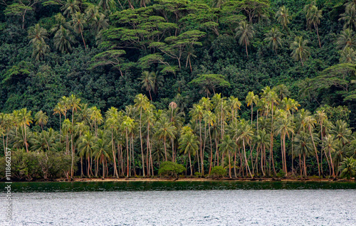 Tahaa hillside photo