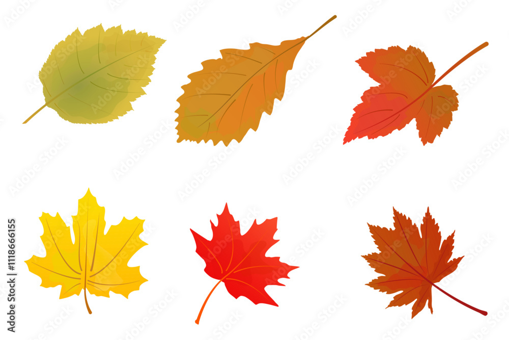 Different autumn leaves . Set of flat leafs vector illustrations on isolated white background. Vector illustration Different autumn leaves . Set of flat leafs vector illustrations on isolated white background. Vector illustration