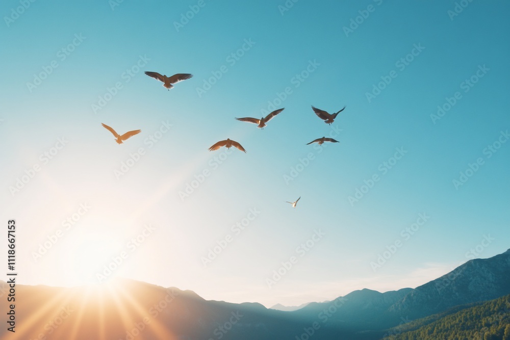 Birds flying against a bright sunrise over a mountainous landscape. Birds flying against a bright sunrise over a mountainous landscape.