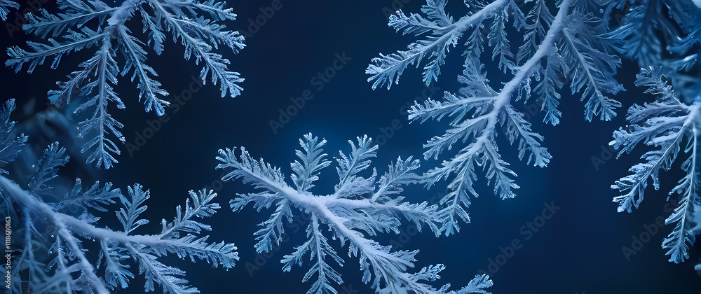 a frosted evergreen branch pattern overlaying a deep blue snowy background a frosted evergreen branch pattern overlaying a deep blue snowy background