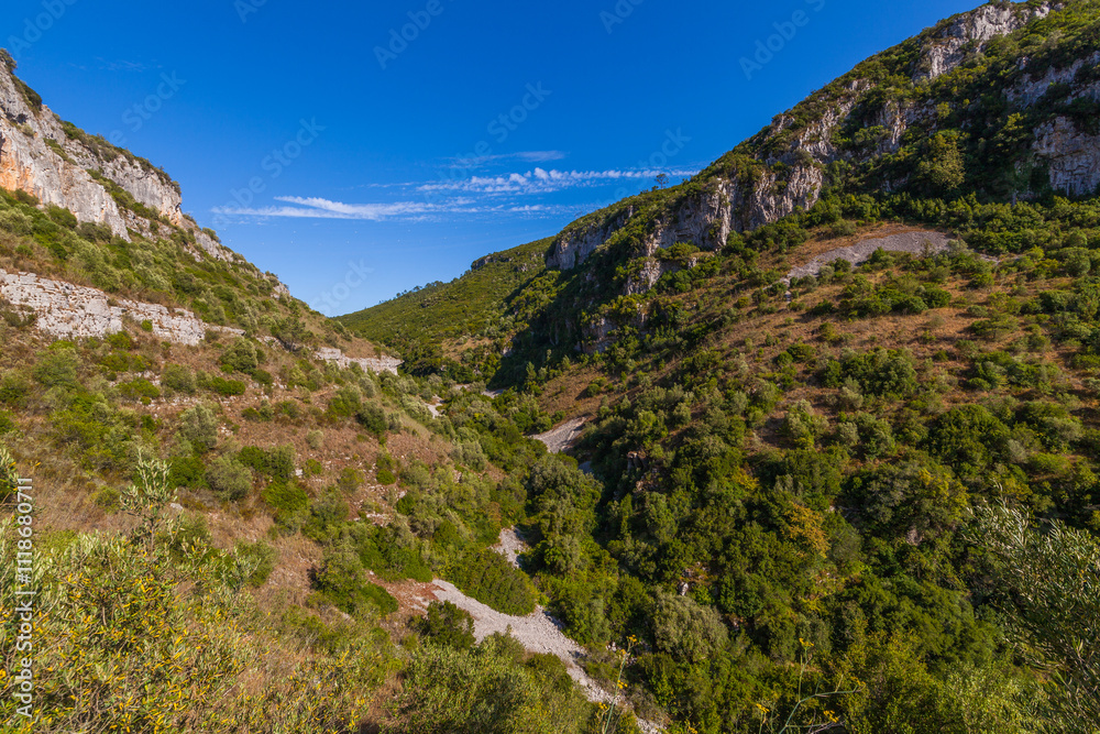 A breathtaking view of a deep canyon with towering cliffs on either side, lush green vegetation, and a clear blue sky A breathtaking view of a deep canyon with towering cliffs on either side, lush green vegetation, and a clear blue sky