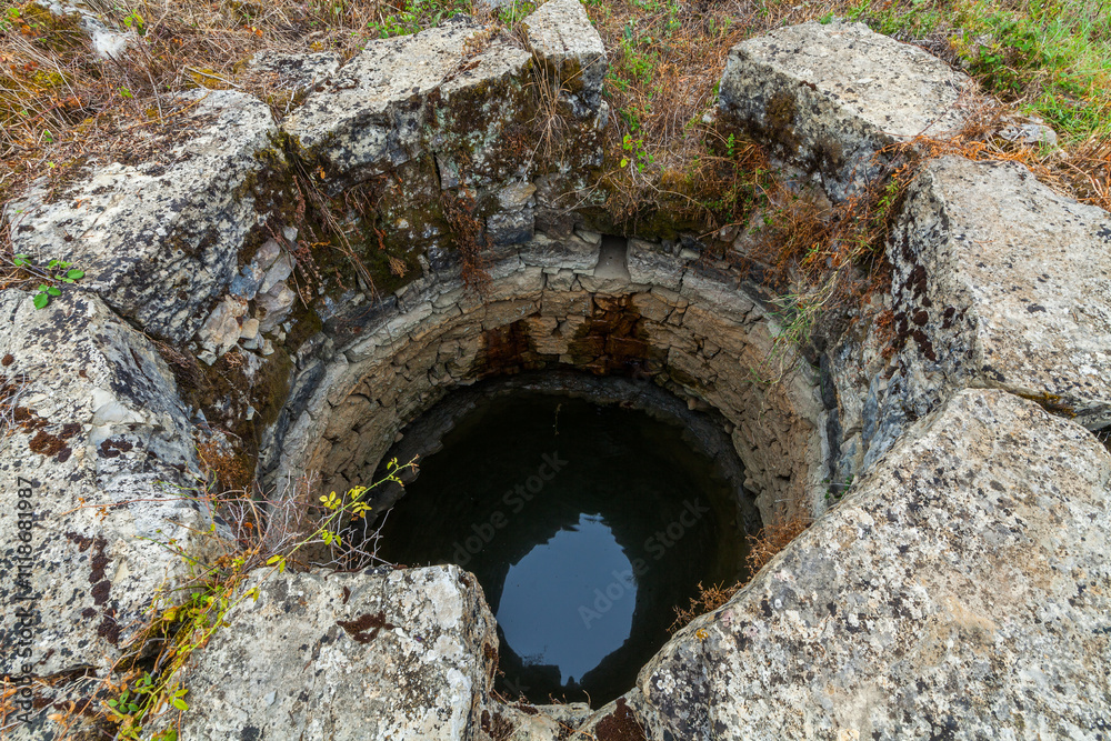 Obraz premium An ancient stone well, partially filled with water, surrounded by lush vegetation