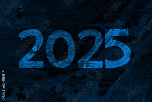 Canvas Print 2025