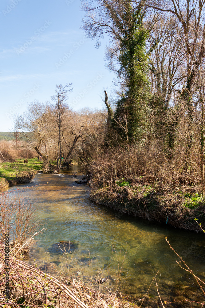 A mountain river flows in a forest, a landscape, a summer day, a forest grows along the banks of the stream. A mountain river flows in a forest, a landscape, a summer day, a forest grows along the banks of the stream.