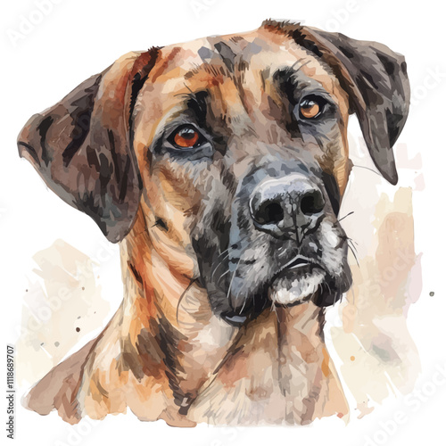 A watercolor illustration of a Black Mouth Cur, isolated on a white background. Black Mouth Cur vector.