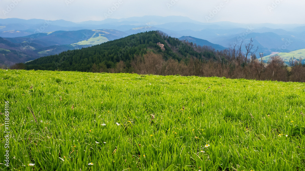 Green mountain with sky clouds natural landscape at sunny weather.