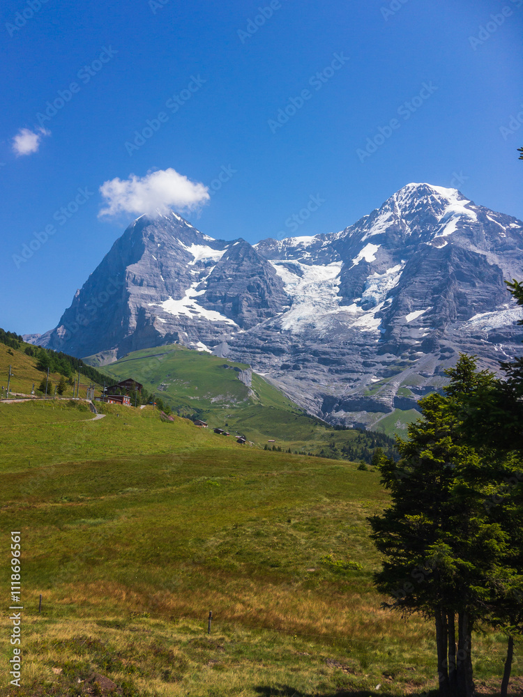 Alpine landscape with views of the Northern wall of the Eiger peak, Grindelwald, Bernese Alps, Switzerland Alpine landscape with views of the Northern wall of the Eiger peak, Grindelwald, Bernese Alps, Switzerland