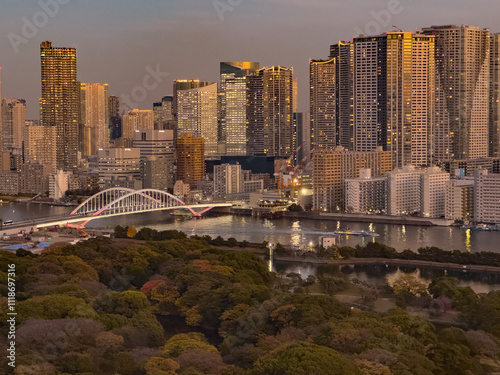 都心散歩　湾岸タワマンの夕暮れ photo