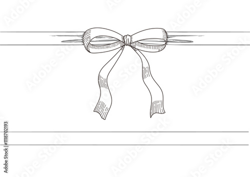Set of long  bow and ribbon. Hand drawn vintage line art. Ink sketched vector illustration. 