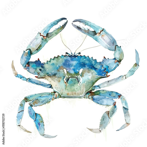 A watercolor vector of a Crab, isolated on a white background. Crab vector.