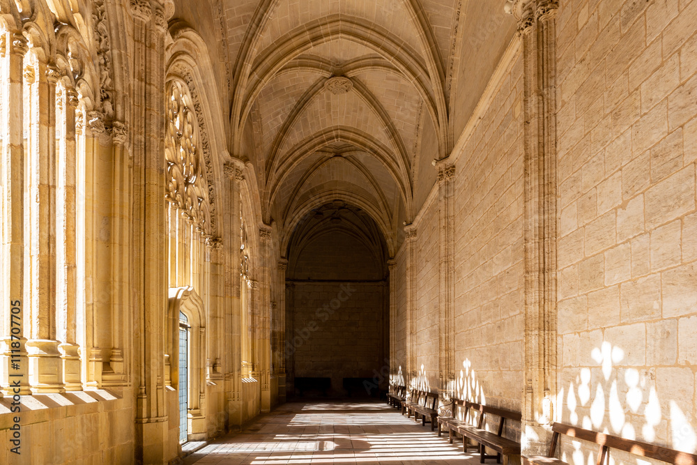 Obraz premium Cloister of the Segovia Cathedral in Spain, in Gothic flamboyant style with carved decorative vaults, columns and openwork tracery windows, sunlight coming in, creating shadows.