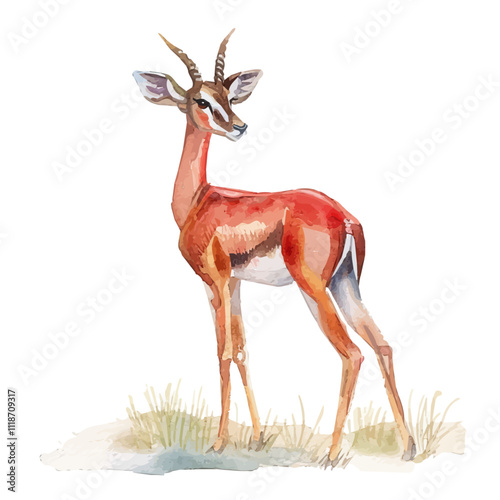 A watercolor vector of a Gerenuk, isolated on a white background. Gerenuk vector.