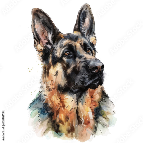 A watercolor vector of a German Shepherd, isolated on a white background. German Shepherd vector.