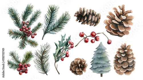 Watercolor Christmas decor set. Hand painted winter plants, fir, red Christmas ball, branches, pine, holly, mistletoe. Holiday winter vector illustration for design, print, background, greeting card.