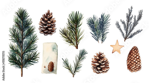 Watercolor Christmas decor set. Hand painted winter plants, fir, red Christmas ball, branches, pine, holly, mistletoe. Holiday winter vector illustration for design, print, background, greeting card.