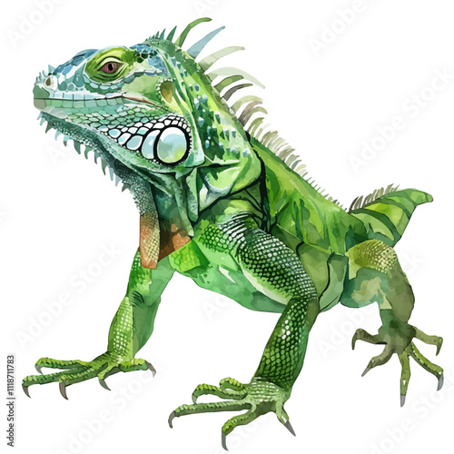 A watercolor illustration of a Green Iguana, isolated on a white background. Iguana vector.
