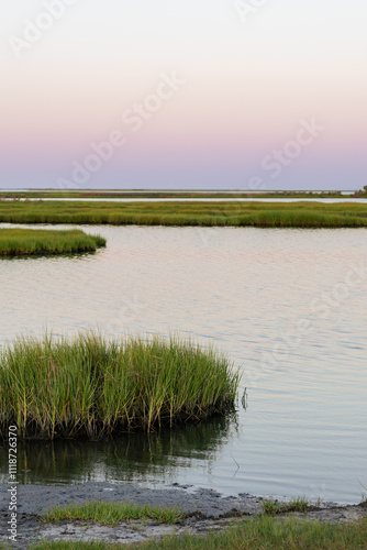 Coastal Marsh with Calm Water