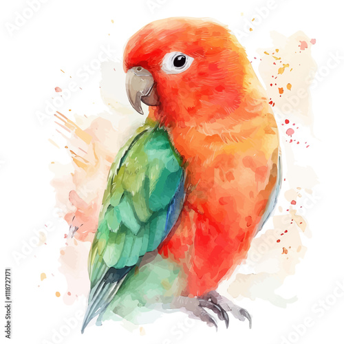 A watercolor painting of a Lovebird, isolated on a white background. Lovebird vector.