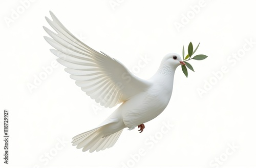 Dove with olive branch on a white background symbolizes peace and freedom.