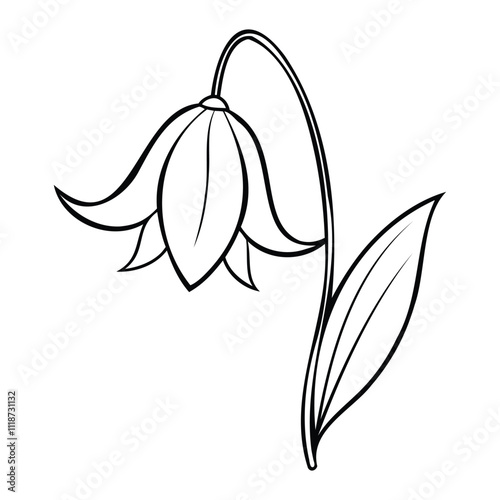 Line art illustration of a Common Bluebell flower with its iconic drooping stem, bell-shaped blooms, and single leaf