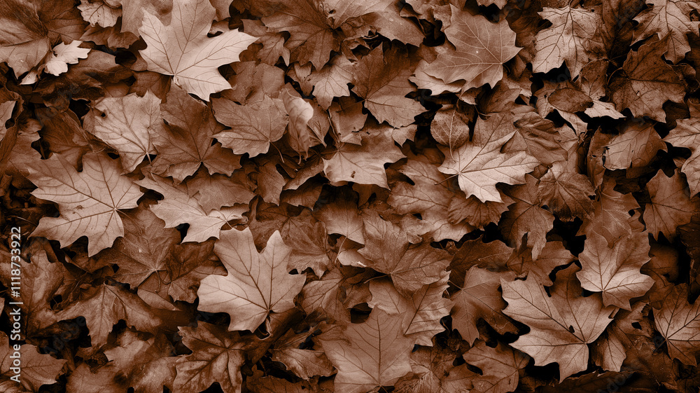 Mocha Mousse color of year 2025 fallen autumn maple leaves lie on ground background Mocha Mousse color of year 2025 fallen autumn maple leaves lie on ground background
