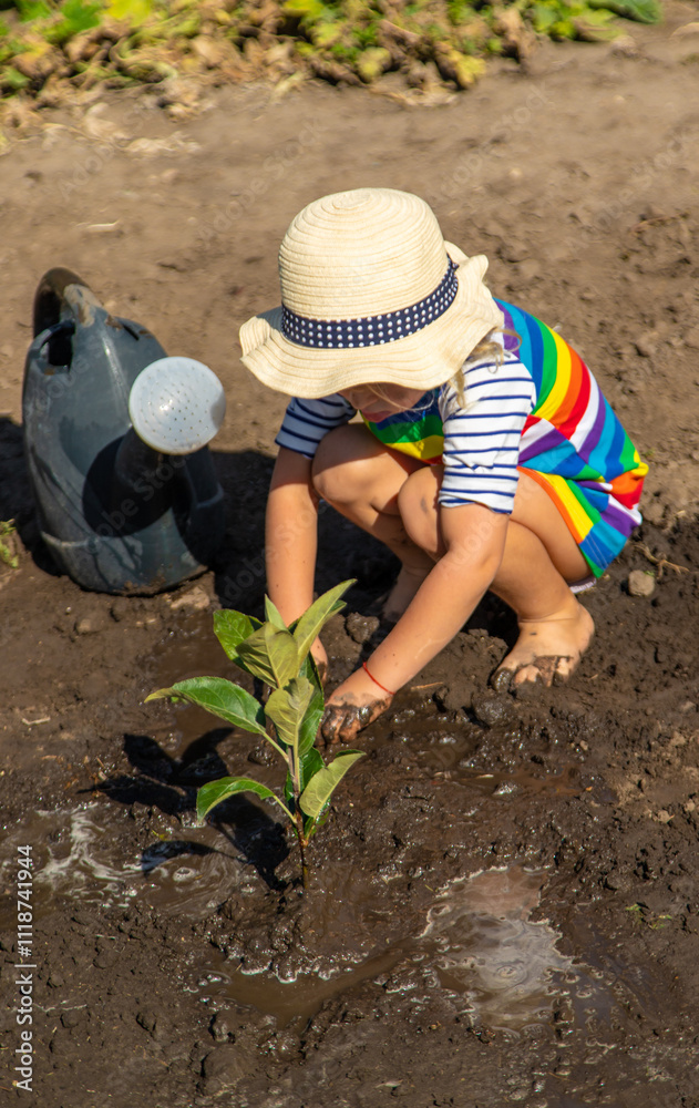 Child Planting a Tree. Selective Focus. Child Planting a Tree. Selective Focus.