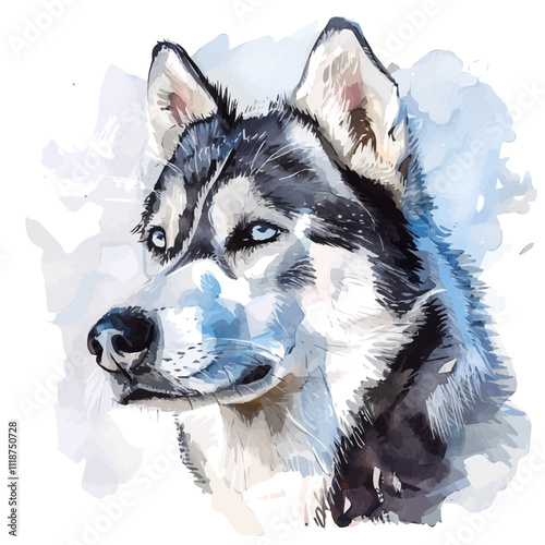 A watercolor painting of a Siberian Husky, isolated on a white background. Siberian Husky vector.