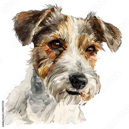 A watercolor of a Teddy Roosevelt Terrier, isolated on a white background. Teddy Roosevelt Terrier vector.