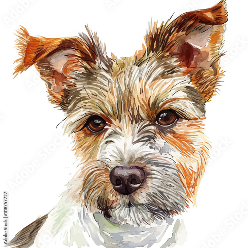 A watercolor vector of a Teddy Roosevelt Terrier, isolated on a white background. Teddy Roosevelt Terrier vector.