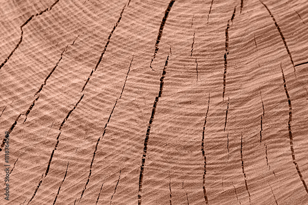 Close-up of wood cross-section texture with cracks. Fashionable colored mocha mousse 2025. Close-up of wood cross-section texture with cracks. Fashionable colored mocha mousse 2025.