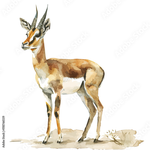 A watercolor vector of an Antelope, isolated on a white background. Antelope vector.