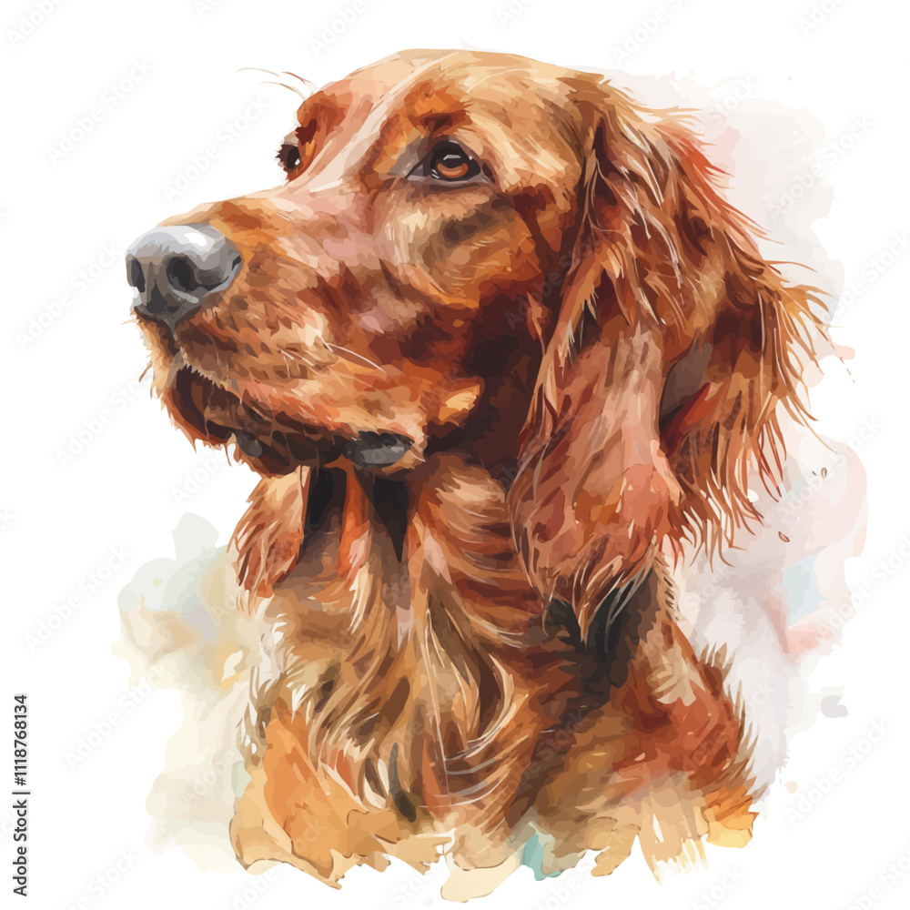 A watercolor of an Irish Setter, isolated on a white background. Irish Setter vector. A watercolor of an Irish Setter, isolated on a white background. Irish Setter vector.
