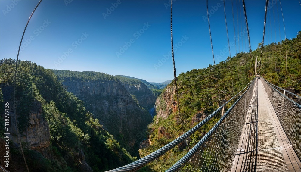 Obraz premium Breathtaking view from a suspension bridge high above a lush green canyon.