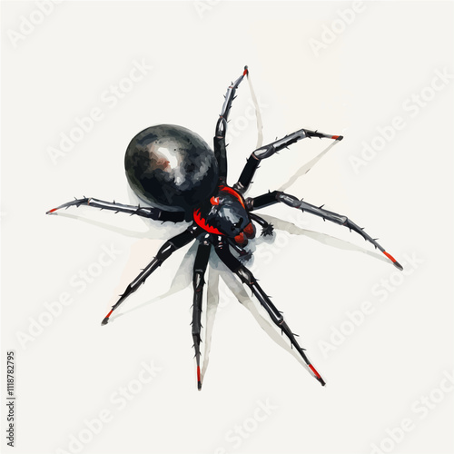 A watercolor vector of a Black Widow Spider, isolated on a white background. Widow Spider vector.