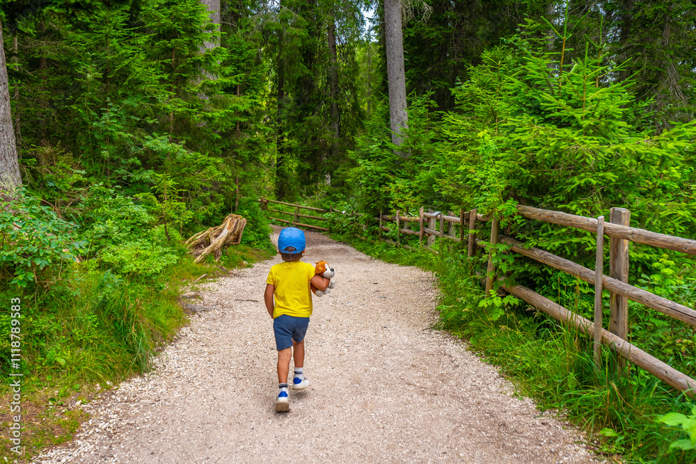 Child walking on path in forest holding plush toy Child walking on path in forest holding plush toy